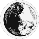 Riccardo L. profile picture